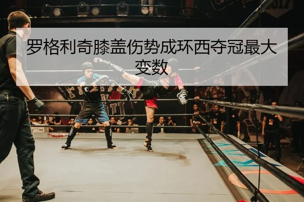 luo-ge-li-qi-xi-gai-shang-shi-cheng-huan-xi-duo-guan-zui-da-bian-shu-2-504.jpg
